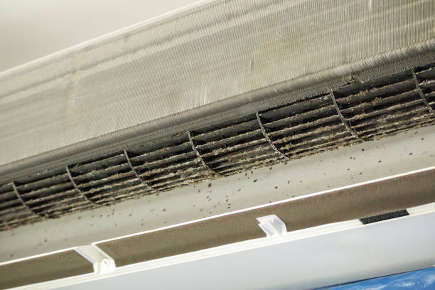 Best Commercial Air Duct Cleaning  in Wautoma, WI